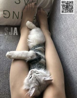 婷婷五月开心亚洲综合在线观看_720免费观看