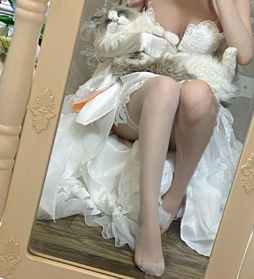 男gaygays免费网站国内_1080影视在线观看