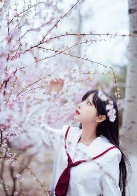 亚洲经典_1080免费在线播放